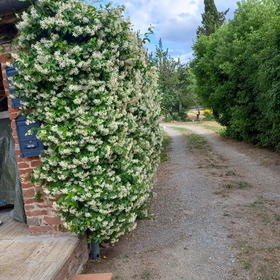 Podere Casalbosco - Idromassaggio E Panorama Rapolano Terme Exterior photo