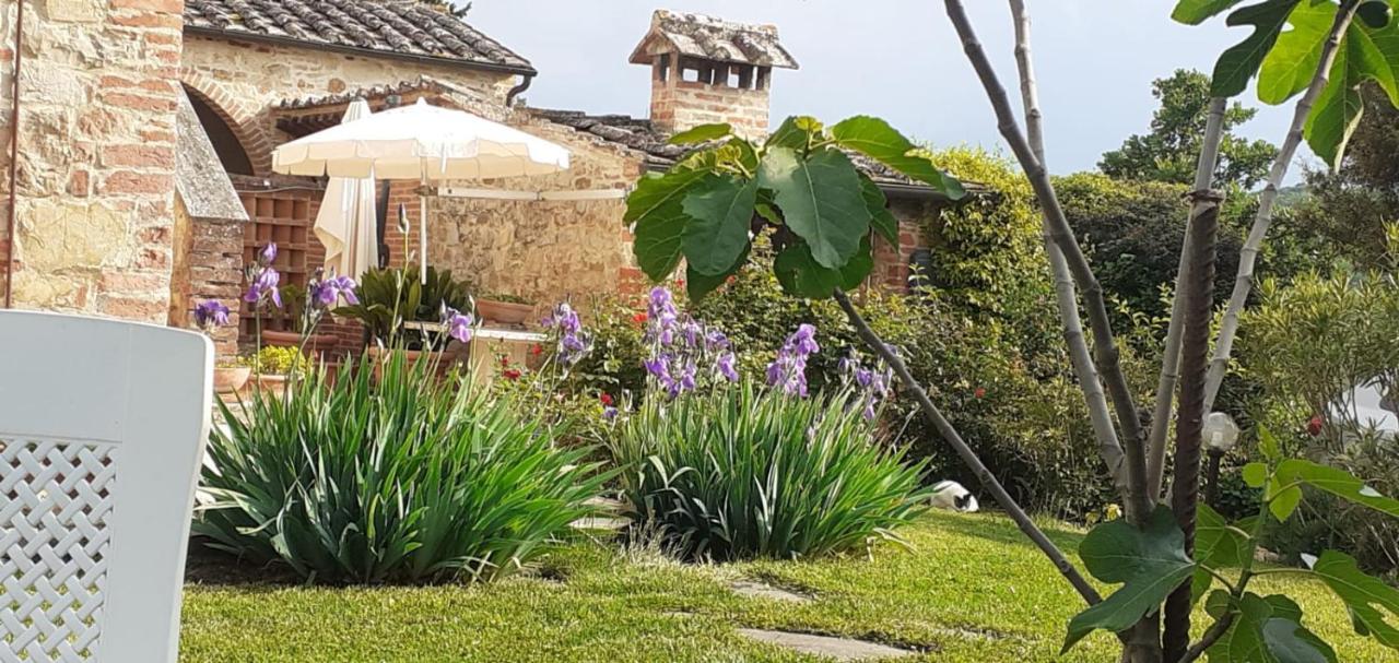 Podere Casalbosco - Idromassaggio E Panorama Rapolano Terme Exterior photo
