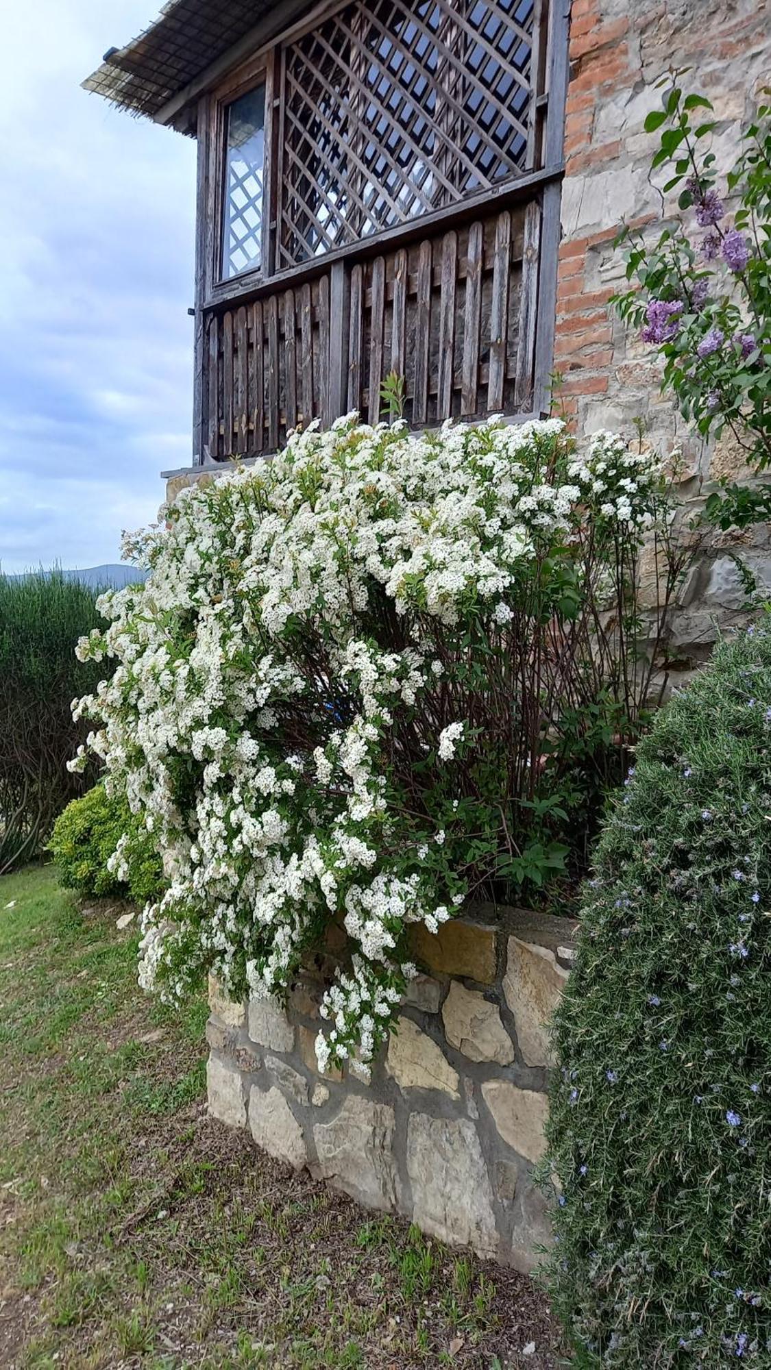 Podere Casalbosco - Idromassaggio E Panorama Rapolano Terme Exterior photo